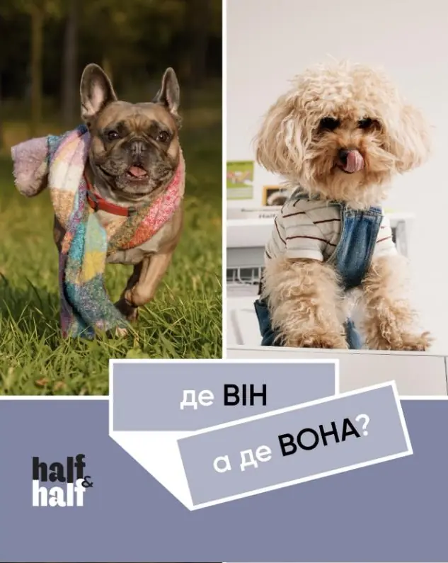 Half&Half pet food
