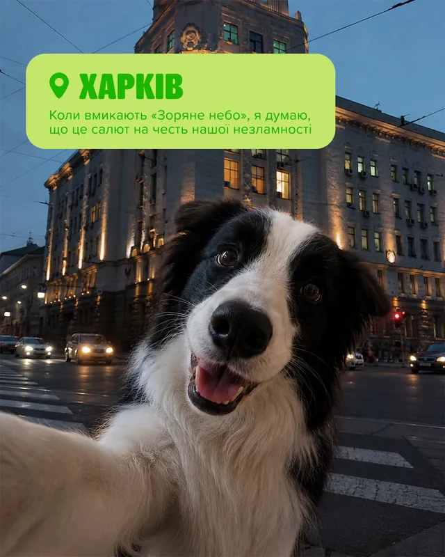 Грумінг-салони MasterZoo · Слайд 4 з 8