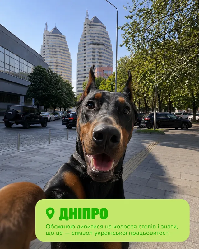 Грумінг-салони MasterZoo · Слайд 5 з 8