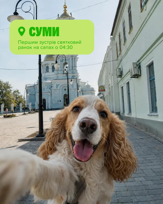 Грумінг-салони MasterZoo · Слайд 6 з 8