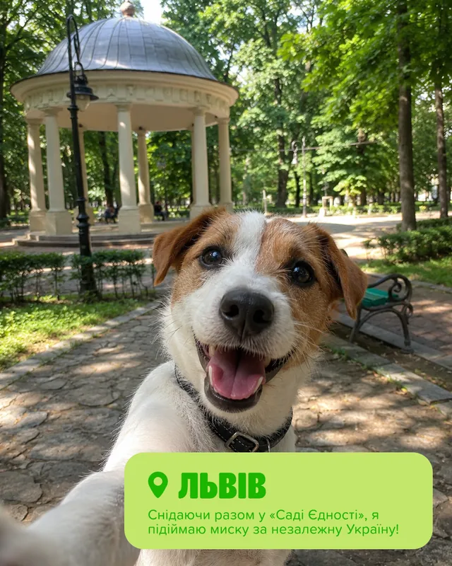 Грумінг-салони MasterZoo · Слайд 7 з 8