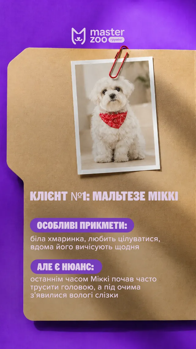 Грумінг-салони MasterZoo · Слайд 2 з 8