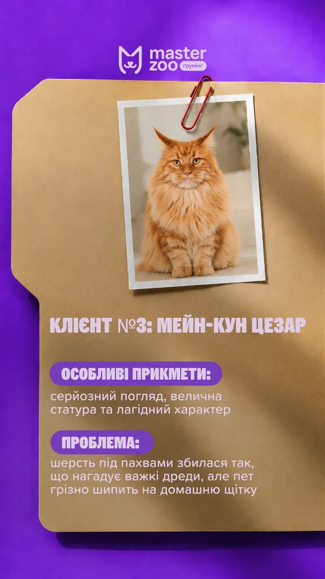 Грумінг-салони MasterZoo · Слайд 6 з 8