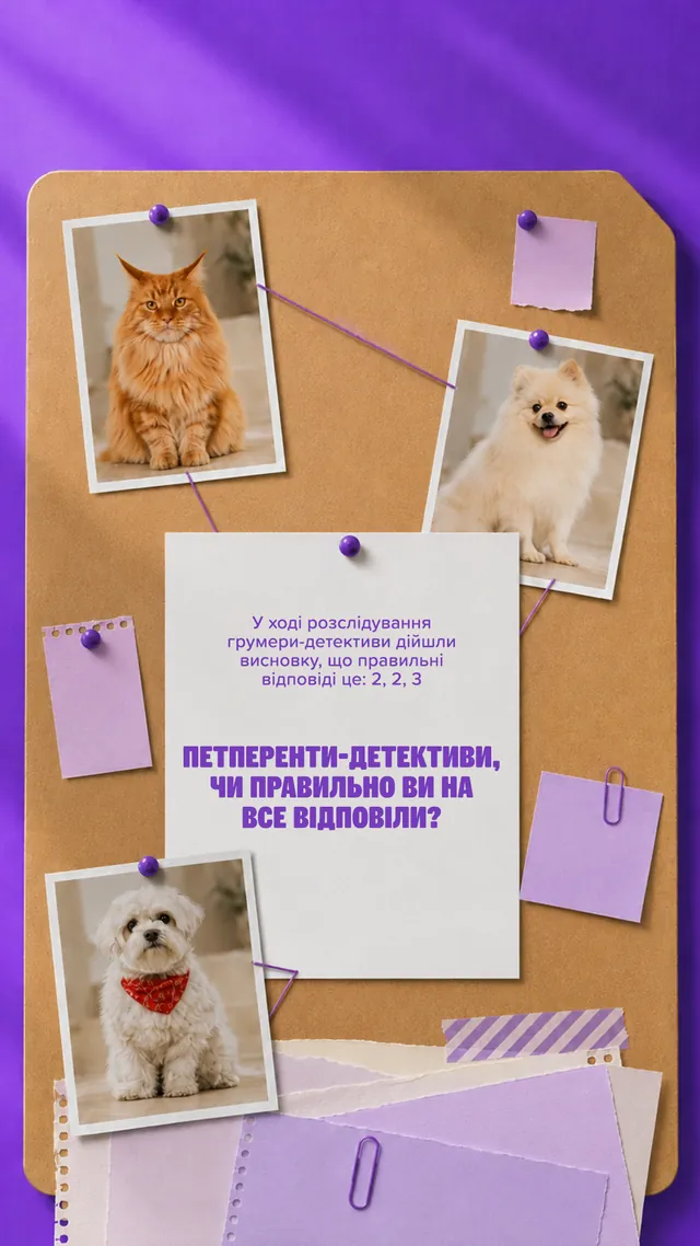 Грумінг-салони MasterZoo · Слайд 8 з 8