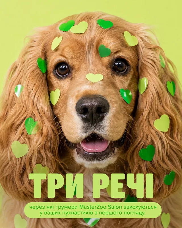 Грумінг-салони MasterZoo · Слайд 1 з 4