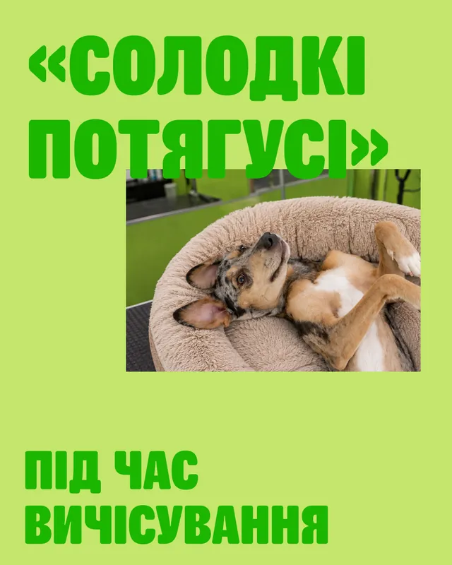 Грумінг-салони MasterZoo · Слайд 2 з 4