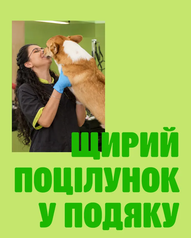Грумінг-салони MasterZoo · Слайд 3 з 4