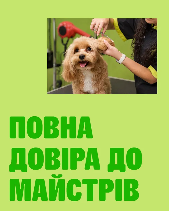 Грумінг-салони MasterZoo · Слайд 4 з 4