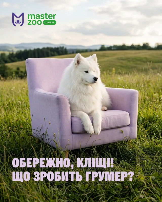 Грумінг-салони MasterZoo