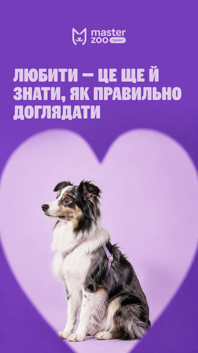 Грумінг-салони MasterZoo