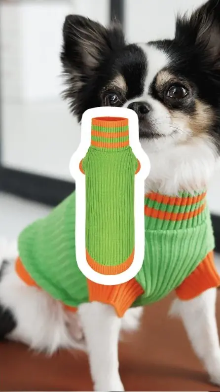 Pet Fashion