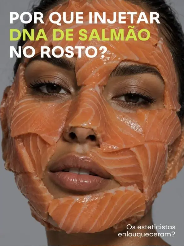 Stadami · Brazil